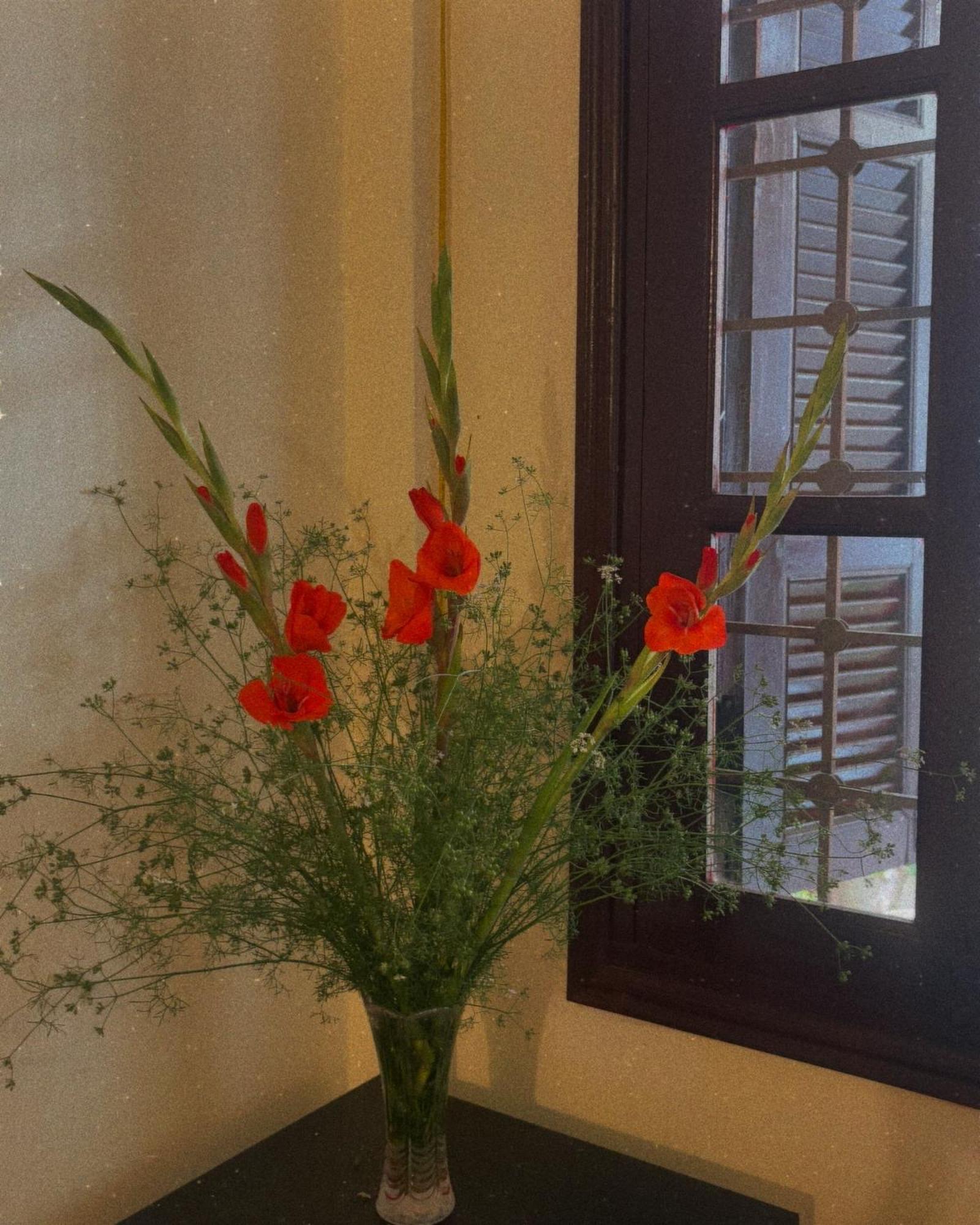 Tropical Land Little Hanoi Homestay Dış mekan fotoğraf